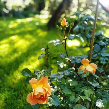 Lägenhet Romantic Garden Sea View Nervi *