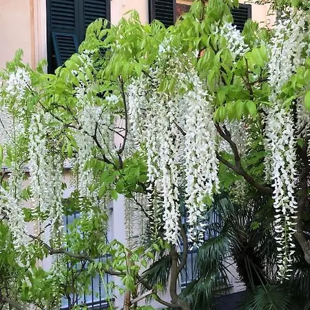 Lägenhet Romantic Garden Sea View Nervi *