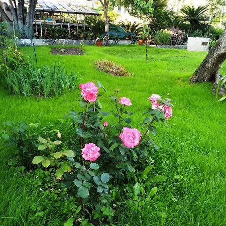 Romantic Garden Sea View Nervi *
