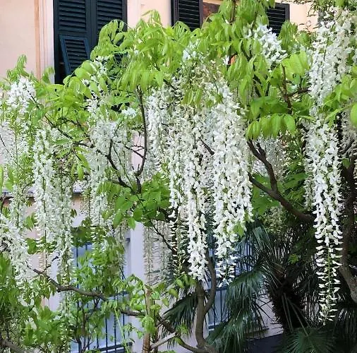 Apartamento Romantic Garden Sea View Nervi *