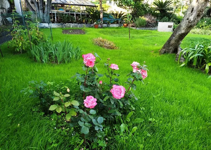 Romantic Garden Sea View Nervi *