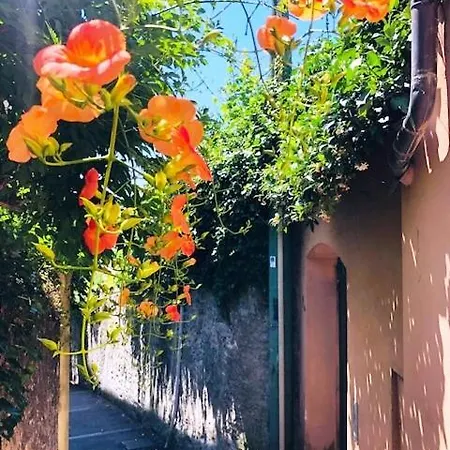 Romantic Garden Sea View Nervi *