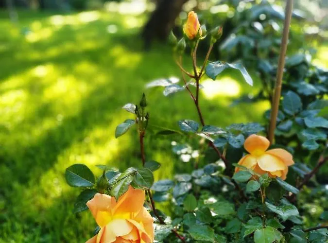 Апартаменты Romantic Garden Sea View Nervi *