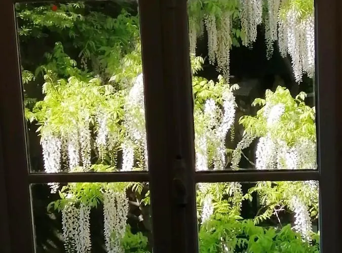 Romantic Garden Sea View Nervi Апартаменты