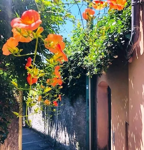 Romantic Garden Sea View Nervi *