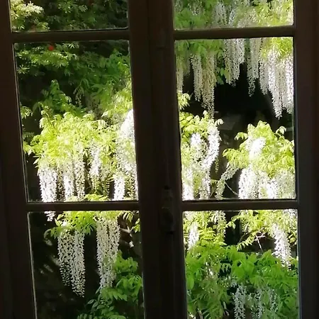 Romantic Garden Sea View Nervi Διαμέρισμα